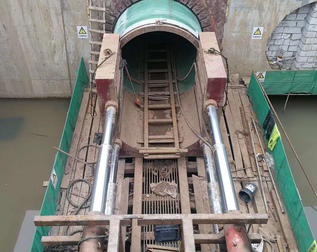 武漢市政公司野芷湖